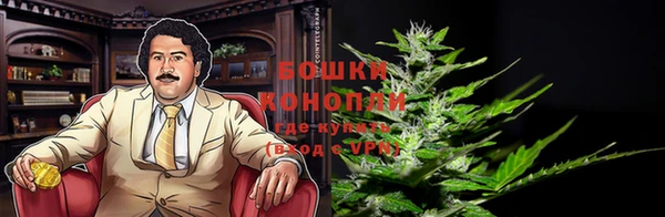 2c-b Инсар