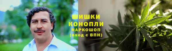 2c-b Инсар
