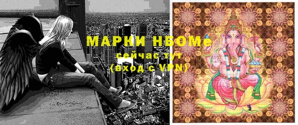прущая мука Инта